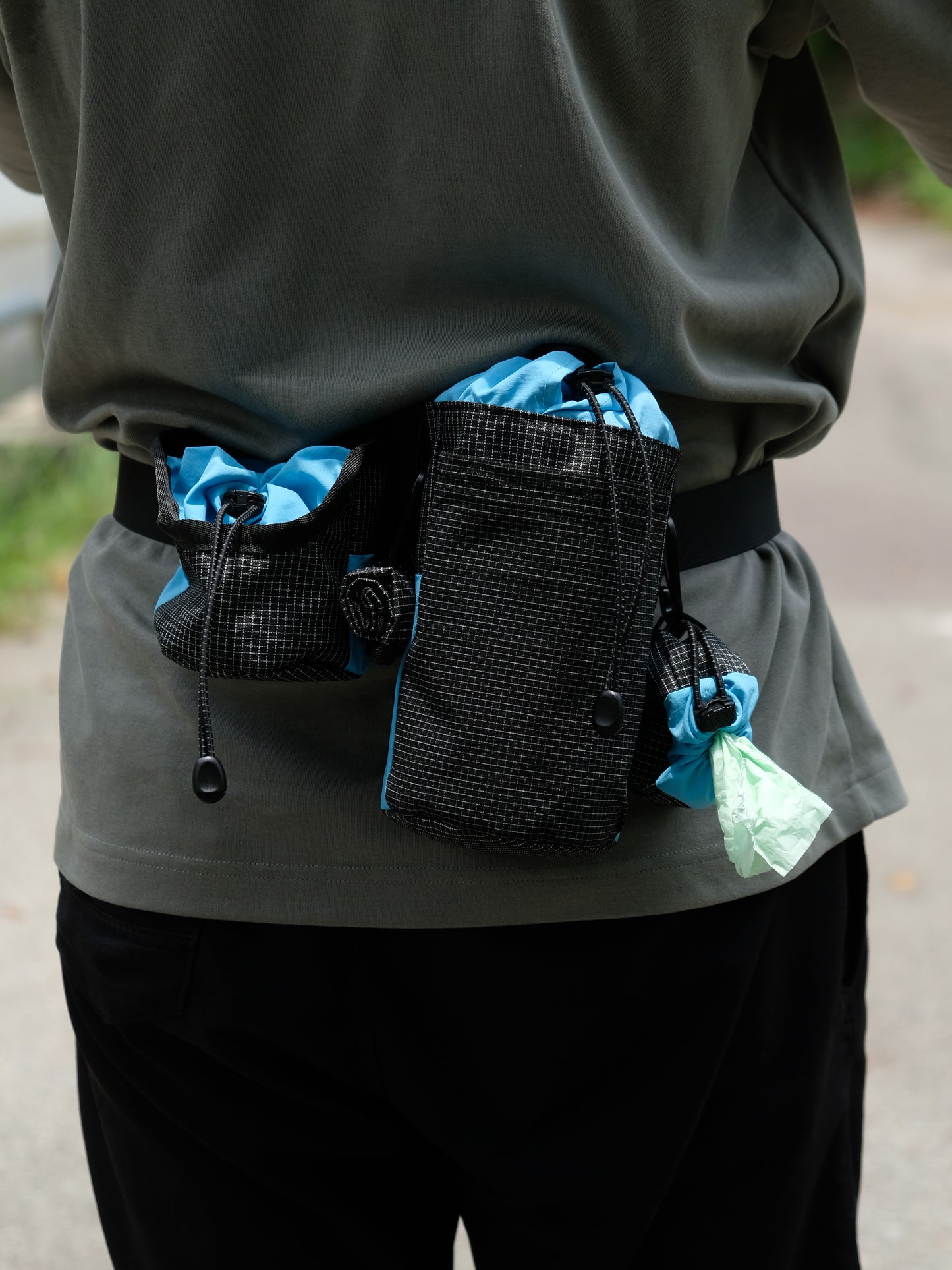 Trail Buddy Modular Dog Walking Kit