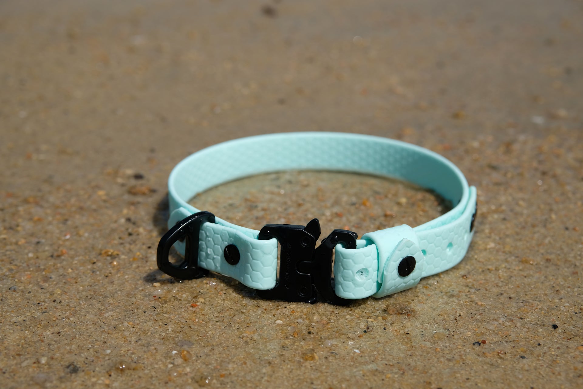 Shield Collar