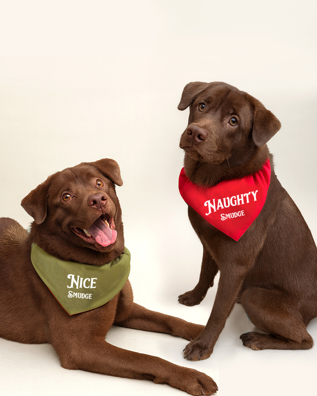 Reversible Holiday Bandana